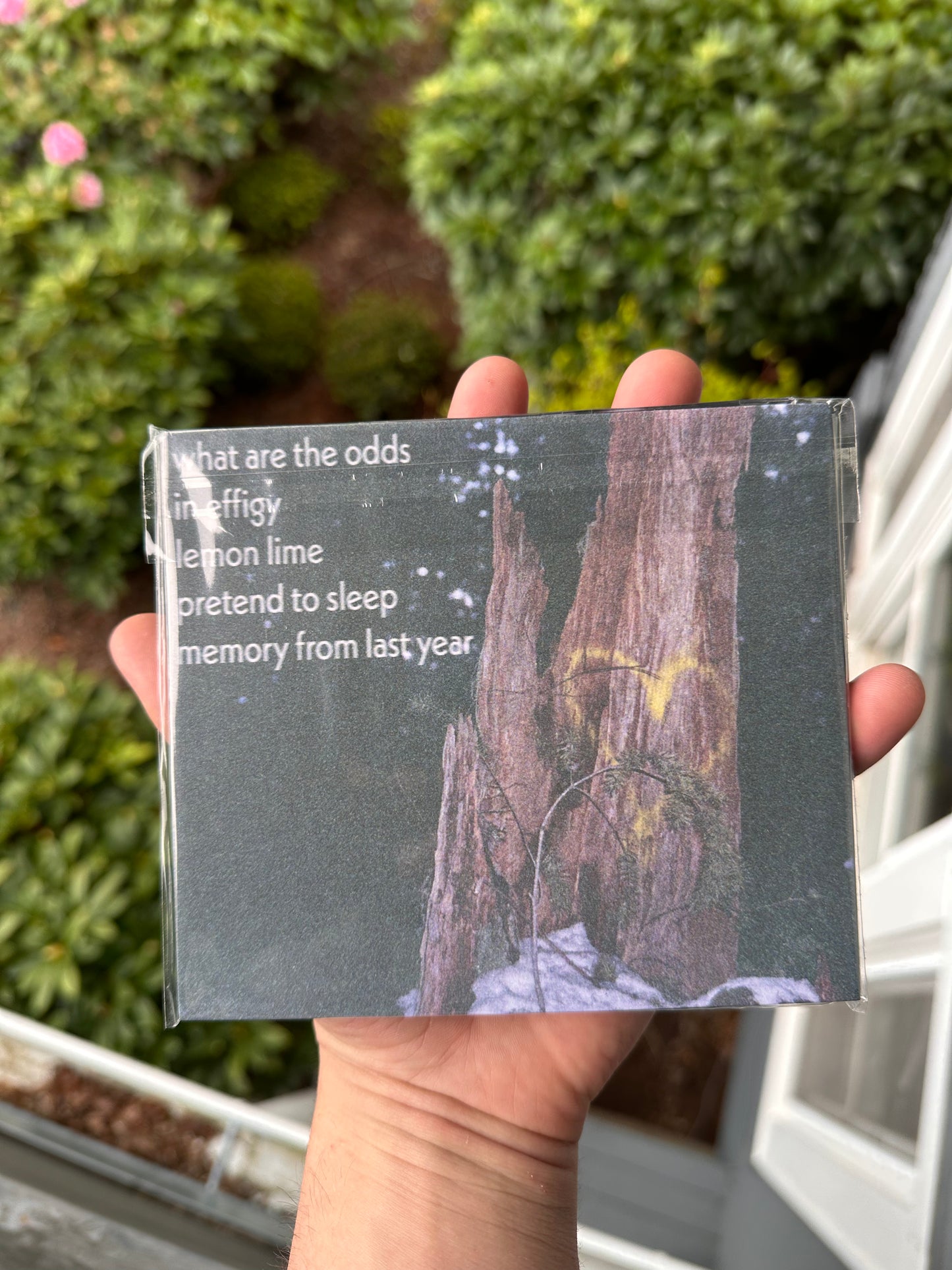 'thought i heard your car' CD